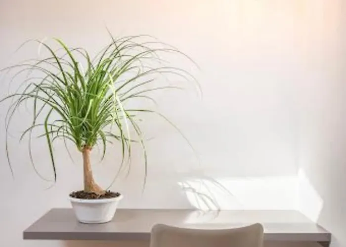 Appartement Mori Libertà Politeama *